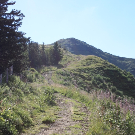 Urlaub im Allgäu (3)